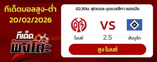 ไมนซ์ vs ฮัมบูร์ก